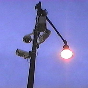 腹肌小奶狗导管视频大全
